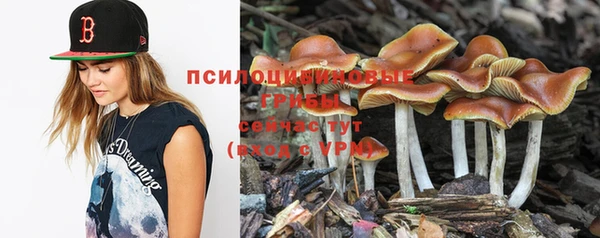 прущий лед Михайловка