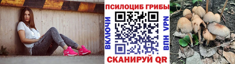 Псилоцибиновые грибы Psilocybe  Асино 