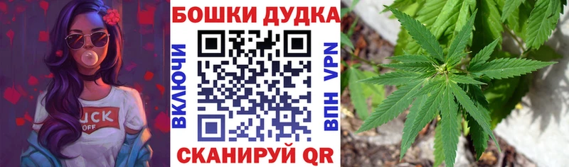 Канабис семена где продают Асино
